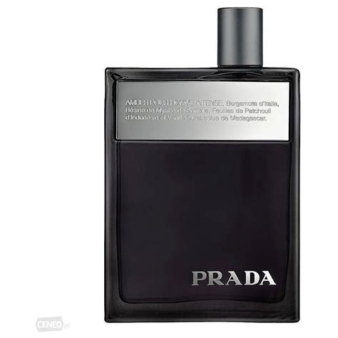 prada l'homme vs prada amber|prada amber pour homme sale.